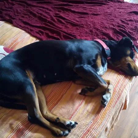 Stay With Me Women Only Room Parking Childrens Pets Welcom Homestay *