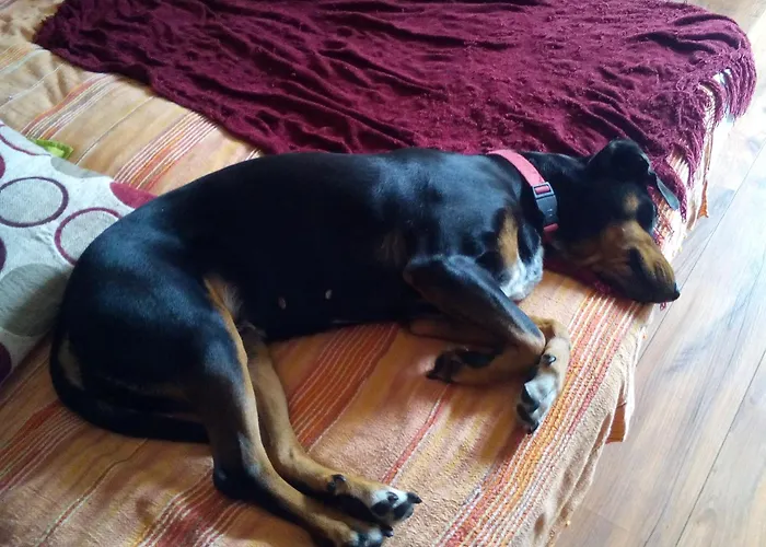 Stay With Me Women Only Room Parking Childrens Pets Welcom Privat bolig *